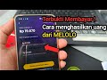 Terbukti Membayar ! Cara dapat uang dari Melolo