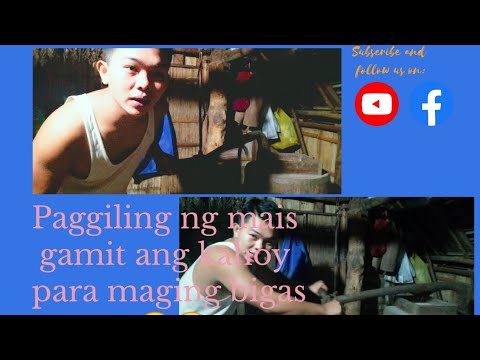 Video: Mga Crusher Ng Butil Ng Sambahayan: Aling Mga Gilingan Ng Butil Ng Sambahayan Ang Pipiliin? Rating Ng Pinakamahusay Na Mga Grinder, Ang Kanilang Paggamit