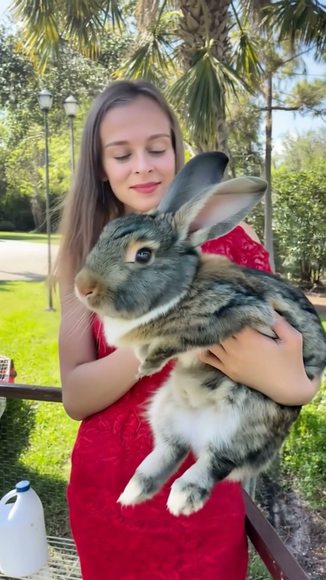 My rabbit has grown a little ??