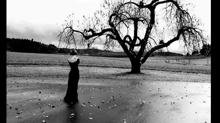 Robert Haigh - Clear Water