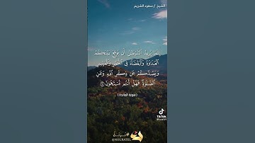 سورة المائدة