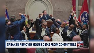 Speaker removes House Democrats from committees