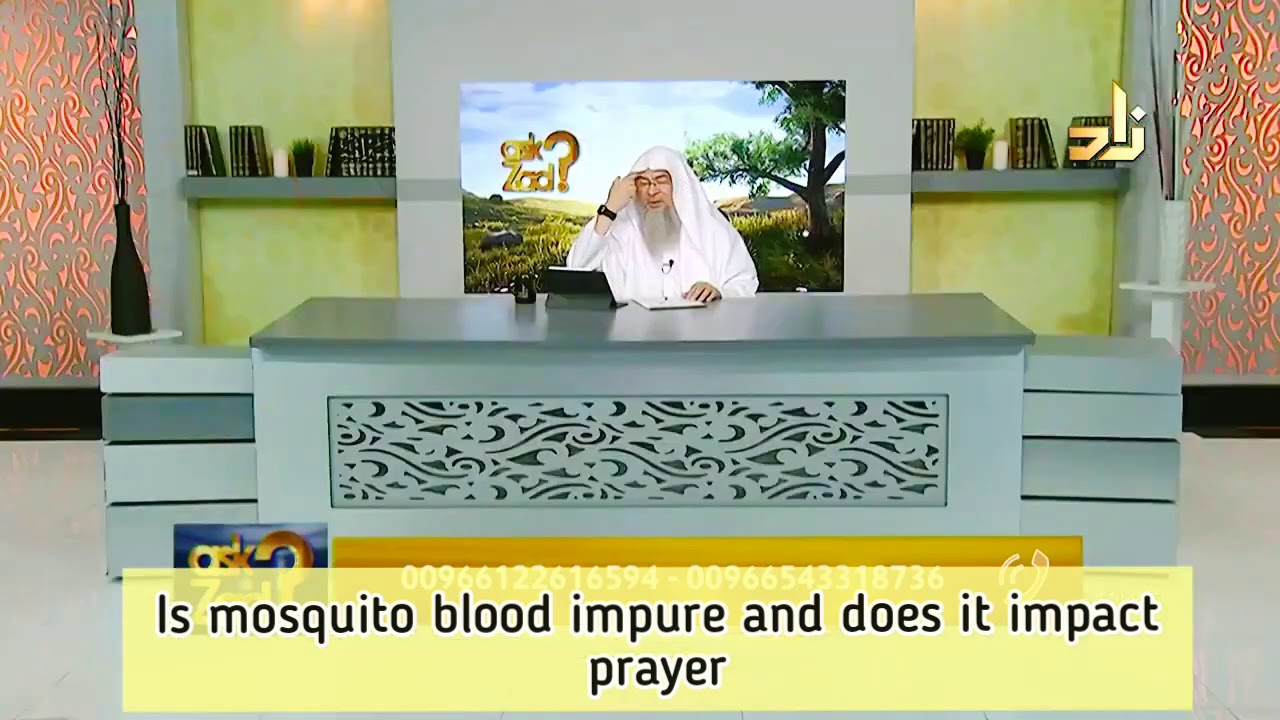 Is Mosquito Blood Impure And Does It Impact Our Prayer Assim Al Is Mosquito Blood Impure And Does It Impact Our Prayer Assim Al