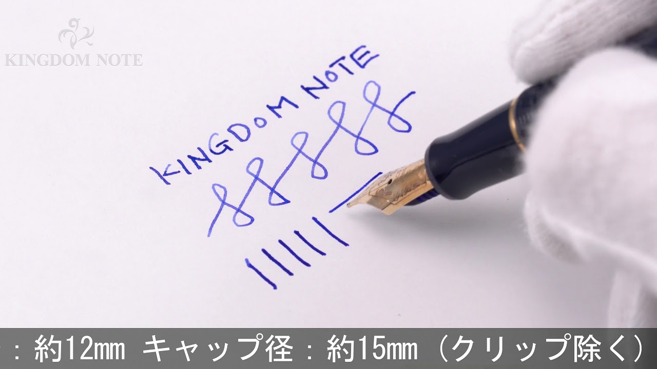 PILOT CUSTOM74 lic-blue 万年筆 字幅M 【公式通販】