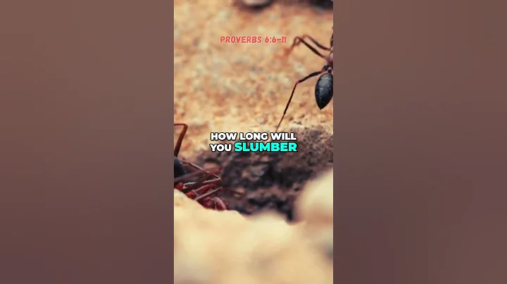 LEARN from the ANTS, how???????????????