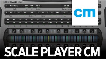 FREE VST/AU MIDI Instrument: RF Music Scale Player CM