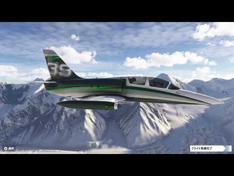 Microsoft Flight Simulator 024