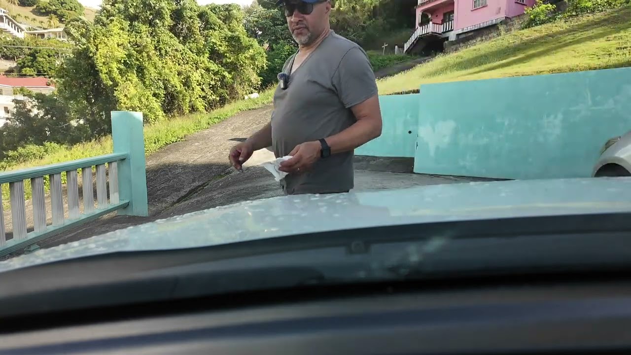 St. Vincent and the Grenadines Harper SVG bushwalk ￼