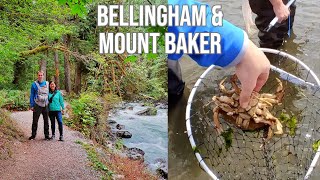 A Weekend in Bellingham and Mount Baker Washington  Hiking, Crabbing, and More!