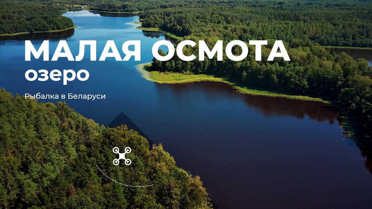 YouTube видео