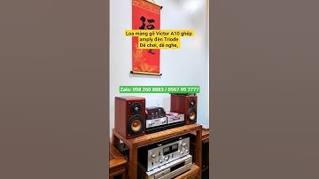 Bộ phối ghép Loa màng gỗ Victor A10 cùng amply đèn và CD của Triode Ruby | Dễ chơi, dễ nghe, bày đẹp