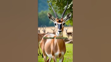 The Power of Adaptability: Embracing Change for Success | #Resilience #Agility, #love  #lifelessons