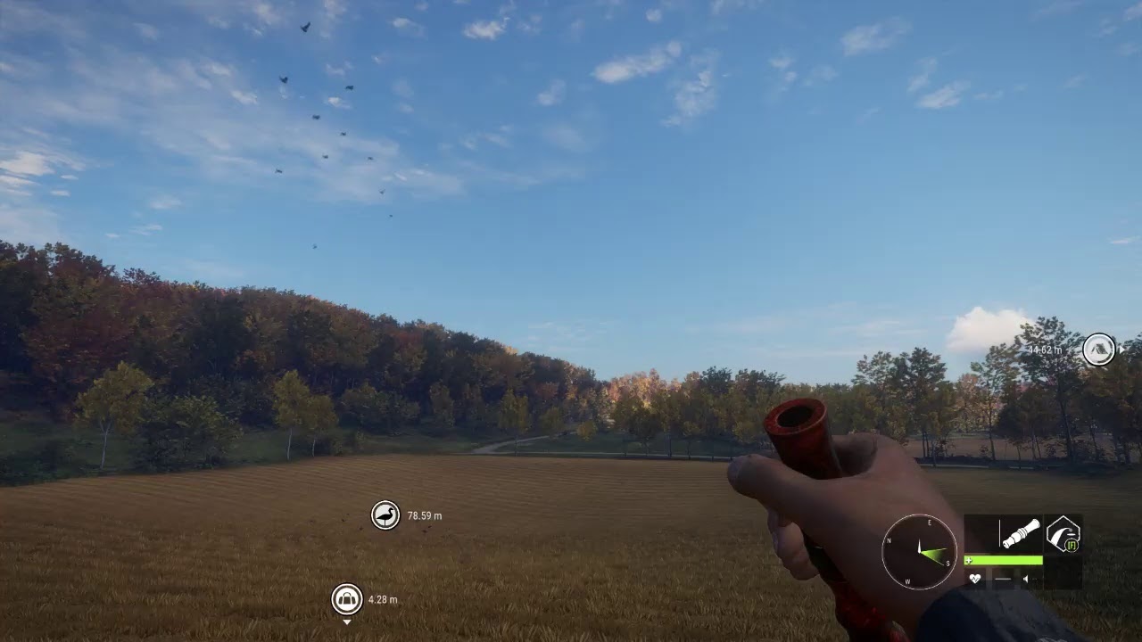 Hunter Call Of The Wild Hirschfelden Diamond Goose Hunting YouTube