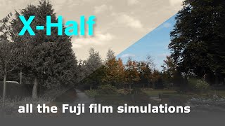 картинка: Моделирование плёнки Fuji в X-Half по сравнению