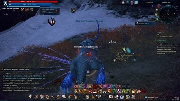 Tera Warrior All Skills