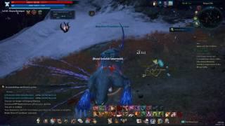 Tera Warrior All Skills