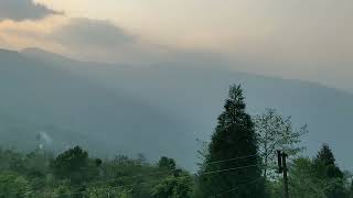 Mangpong Forest Sittong Dds Creations Lovely View