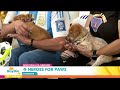 Pamela Noa adopta a Joyce: "La química es innegable"