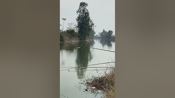 Điểm câu nhiều Diếc giữa làng Đại Bái và Quảng Bố Bắc Ninh