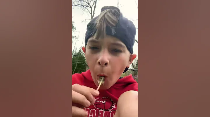 Last dandelion of the season