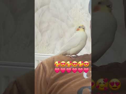 ۱۲ ژانویه ۲۰۲۴