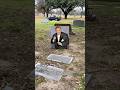 Grave of “The Price is Right” announcer Rod Roddy #cemetery #texas #dfw #explore #short #shorts #fyp
