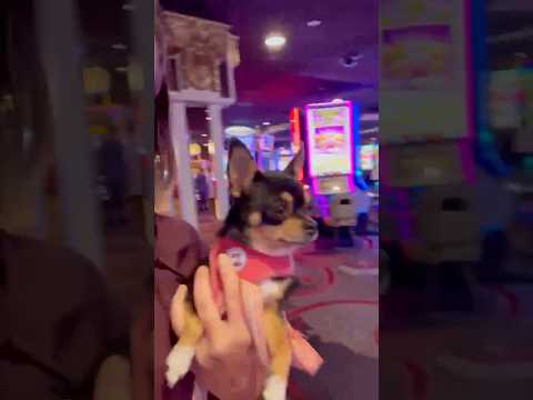 El momento ha llegado | Taj Mahal Casino