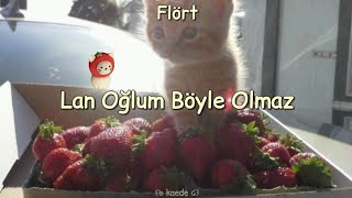 Flört - Lan Oğlum Böyle Olmaz ★ English Translition