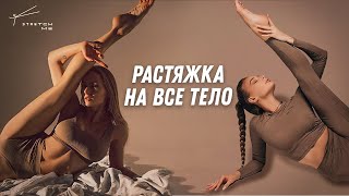 Комплекс упражнений на растяжку всего тела.