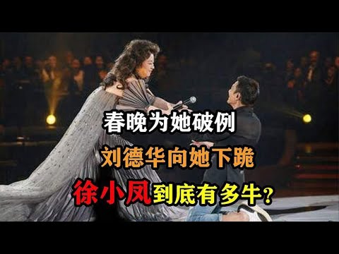 春晚为她破例，刘德华向她跪拜，徐小凤到底有多牛？
