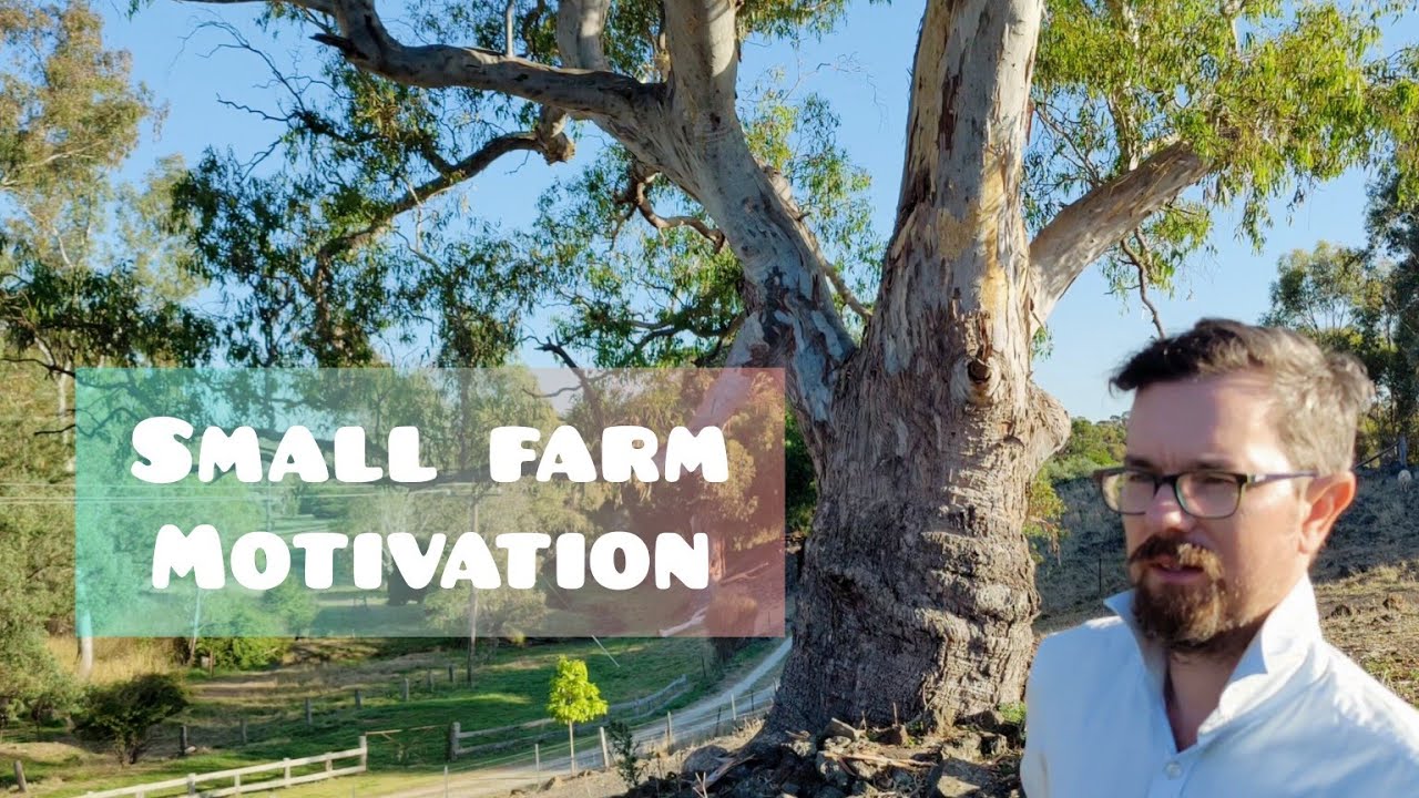 Mental health and food security: why our Aussie smallholding makes ...