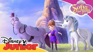 Horse Friends | Sofia the First 👑 | Disney Junior Arabia