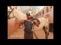 الاستخدام الصحيح والأمن ل للنش او اللونج للخيل مع Horse Whisperer الجزء ١