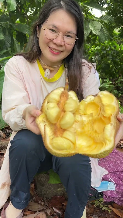 makan buah cempedak, selain dikalimantan ada buah satu ini juga gak gyus,  #cempedak #buahkalimantan