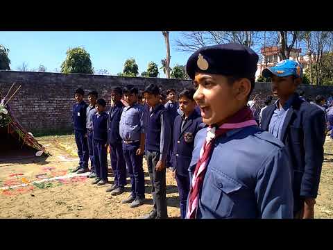 वीडियो: बार्कपोस्ट में आपका स्वागत है: स्काउट द्वारा