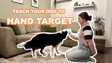 Teach your dog to HAND TARGET in just 7 SIMPLE STEPS!