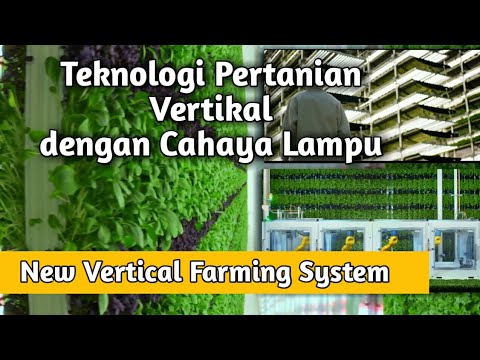 Video: Di mana pertanian vertikal?