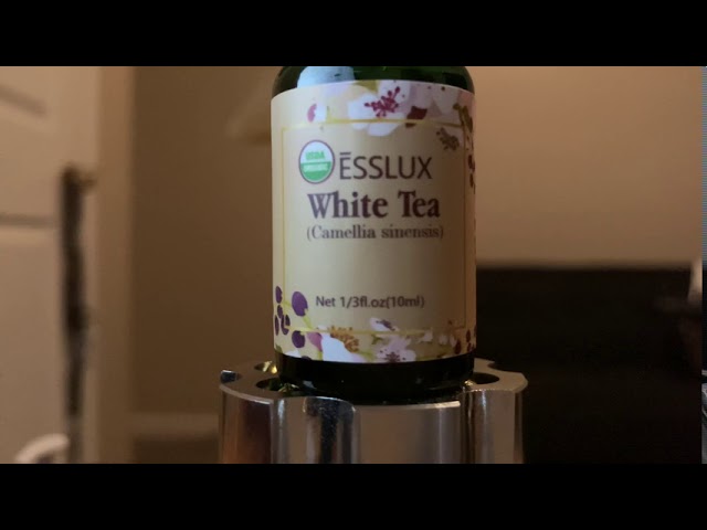 White Tea Fragrance Oil from CandleScience 