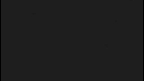 Zoo Tycoon 2 Problem!