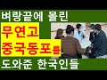 [中国同胞TV60] 벼랑 끝에 몰린 무연고 중국동포를 도와준 한국인들. 못다 이룬 코리안 드림.
