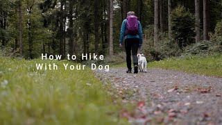 How to Safely Hike With Your Dog