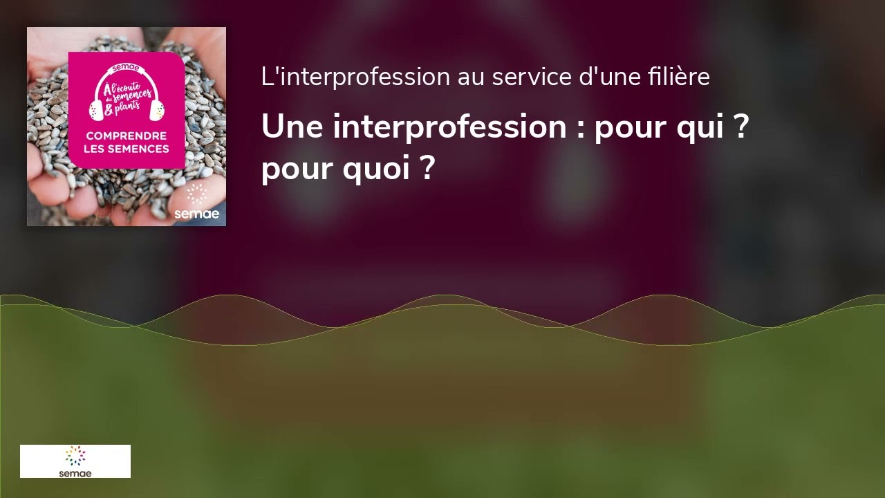 Une interprofession : pour qui ? pour quoi ?