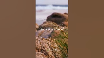 تلاوة سكينة وطمأنينة قرآن كريم حالات واتس.