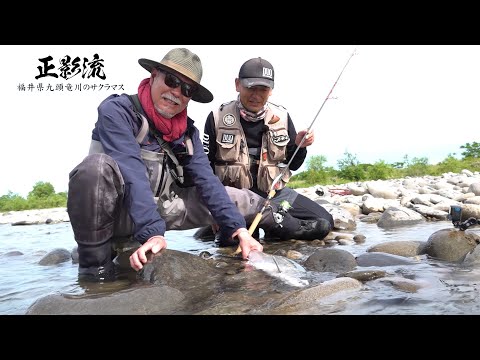 حلقة ماساكاجي 4 سمك السلمون الكرزي في نهر كوزوريو فوكوي 
