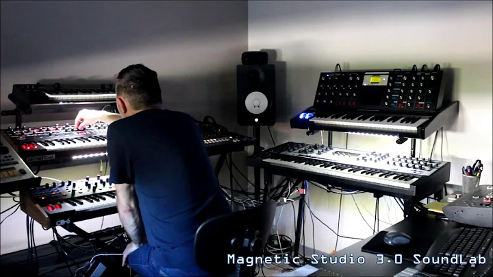 DSI Sequential Prophet 6 et DSI Tom Oberheim OB-6