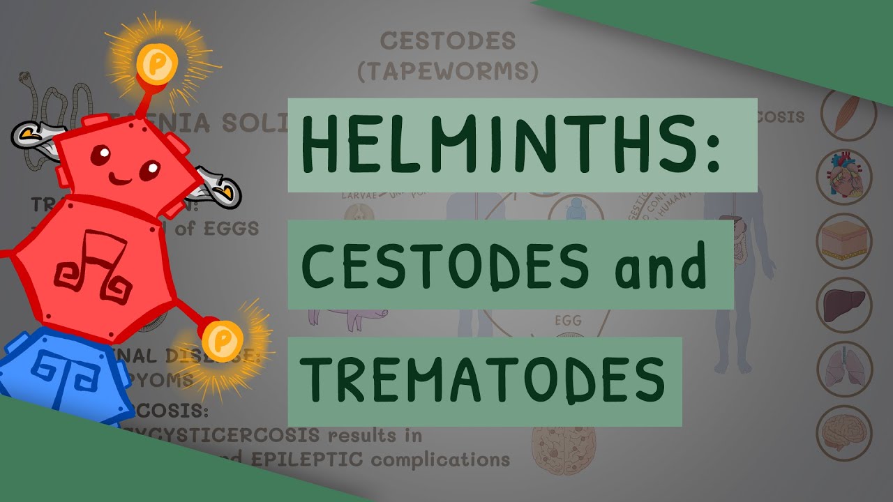 What Is The Drug Of Choice For The Treatment Of Cestode Infection?