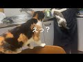 尻危険の理由(個人的推測)