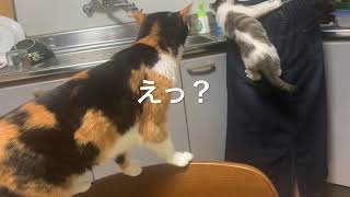 尻危険の理由(個人的推測)
