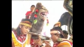 Burok Trinanda muda 2007 °Bendungan Karet