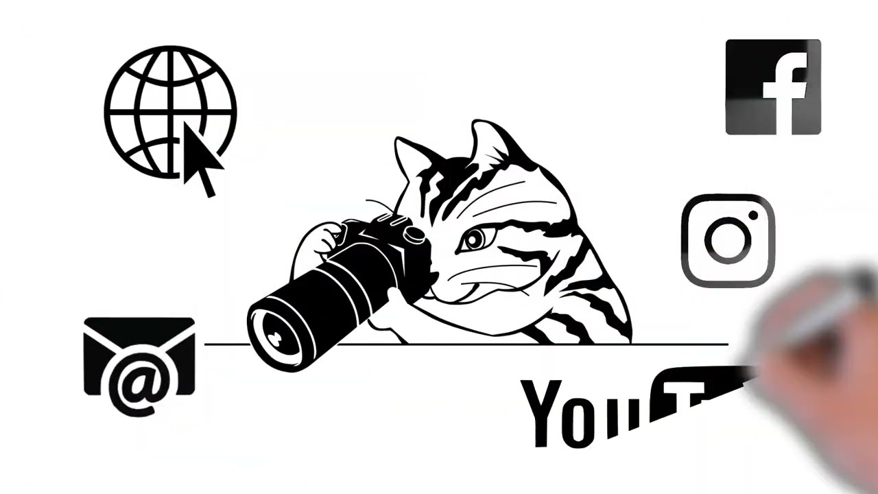 Prezentare Curs Web 4 Junior by IT LABS